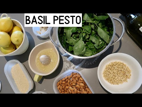 BASIL PESTO | Vegan, Easy & Big Batch Cooking | Beate Myburgh