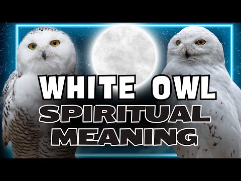 Why Seeing a White Owl Can Change Your Life: Spiritual Meaning and Symbolism Explained