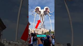 Top 5 Most Shocking Creature Phenomena In The World 😱🫣