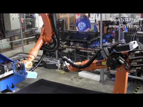Automatic Inspection with Industrial Manipulators