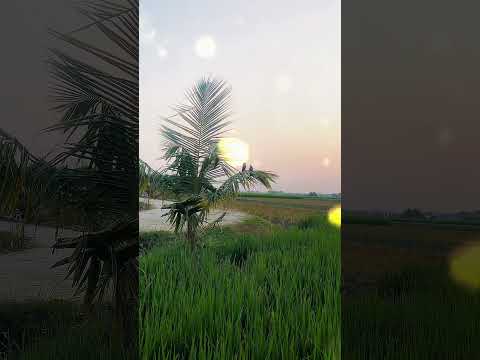 Yeh Duniya Hi Aesi Hai…❤️🩹#trending #shortsviral #youtubeshorts