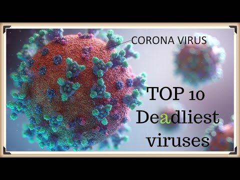 Top 10 Viruses in the world by Durga Kunal (2020)
