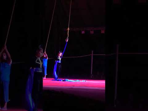 #circus #fun #firework #circusfans #dance #memes
