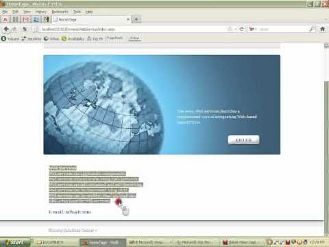 DYNAMIC WEB SEARCH-2011