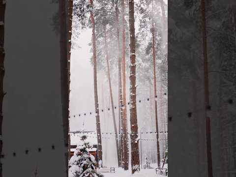 Winter Evening Calm: Find Peace in the Magic of Christmas ❄️✨#meditation #peace