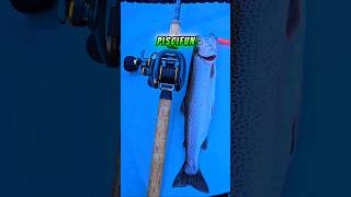 Catch MORE Fish with Mag Lip Plugs #tutorial #entertainment #howto #viral
