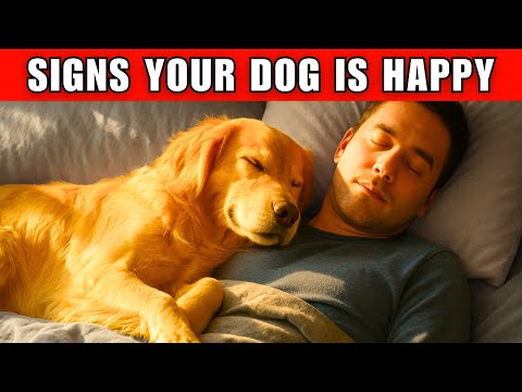 12 Signs Your Dog is TRULY Happy and Healthy