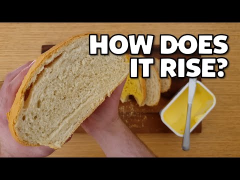 The Science of Making Bread!