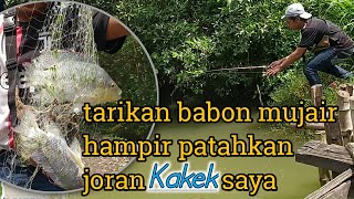 Wajib di coba!! MANCING JARING dengan teknik langka