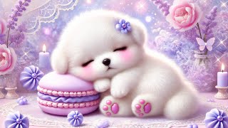 Relaxing Music Box ⭐️ Music For Sleep ♡ Deep Sleep Music ♡ Relieving Insomnia