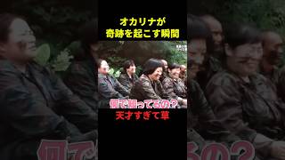 オカリナが奇跡を起こす瞬間#お笑い #お笑い芸人 #面白集 #面白い #千鳥 #shorts