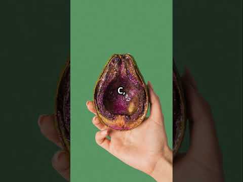 Avocado Origin, Nutrition, and Health#shorts#AvocadoOrigin #AvocadoNutrition #HealthBenefits