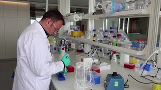 Novartis to provide 'no profit' COVID-19 drugs