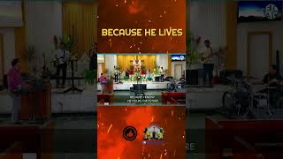 Because  He Lives #shorts #memes #songofpraise #songofworship #worship