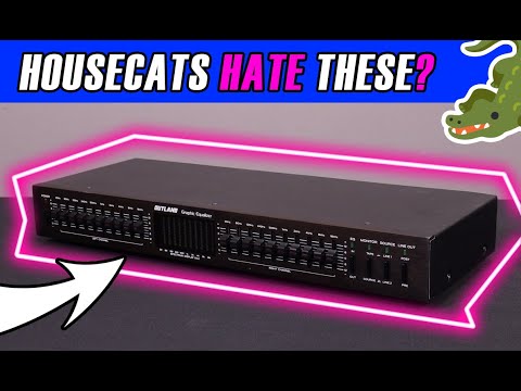 Apparently Cats Dislike This Outland Graphic Equalizer?