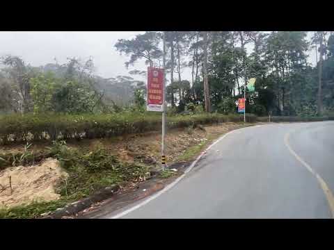 Viaja conmigo a las montañas