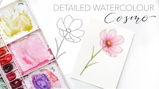 How To Paint A Detailed Watercolour Cosmo