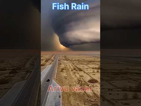 Fish Rain and its process #information #facts #explanationintamil #believeitornot