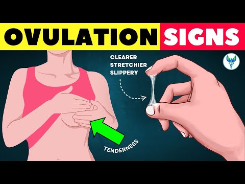 6 Ovulation Signs Every Woman Should Know | Ovulation Symptoms | Fertility | Ovulation and pregnancy