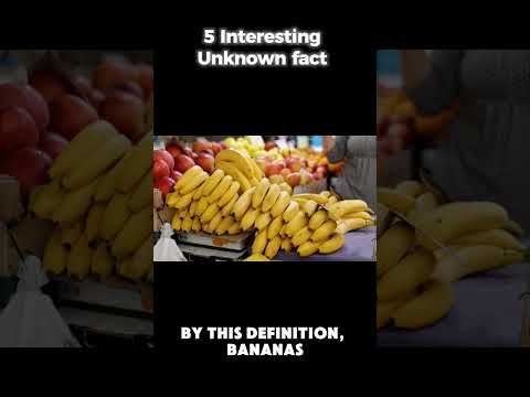5 Unknown interesting fact#shorts