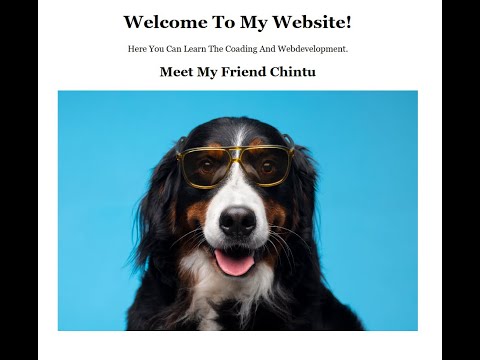 How to Create a Simple Web Page Using HTML & CSS | Beginner Web Development Tutorial