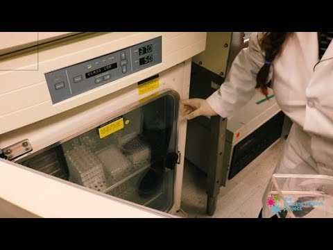 A Look inside the Lab: Incubators - Vaccine Makers Project