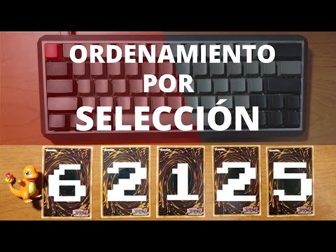 Selection Sort