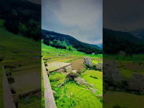 Nature Vibes | explore the beauty of Pakistan | #shorts #shortvideo