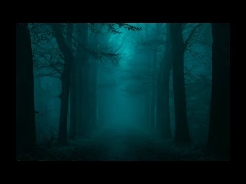 lets head back its getting dark // ambient mix