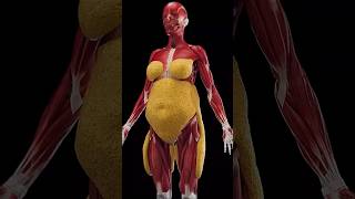 Burn Belly Fat With These Natural Remedies #facts #easynutrition #foodfacts #fruit #science