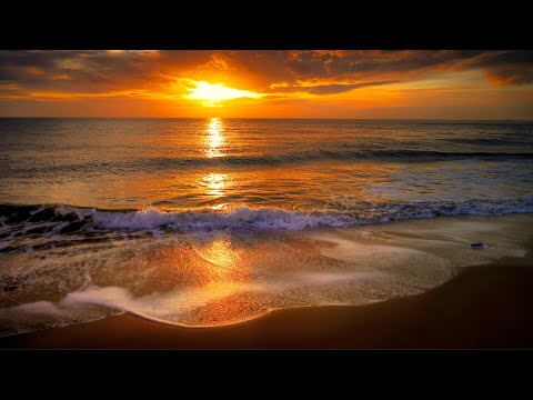 Soothing music Ocean 🌿 Healing music for the heart and blood vessels, relaxation, music for the soul