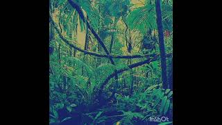 Rainforest vibes #circuitrhythm #drummachine #house #synthwave #ipespazio #newmusic