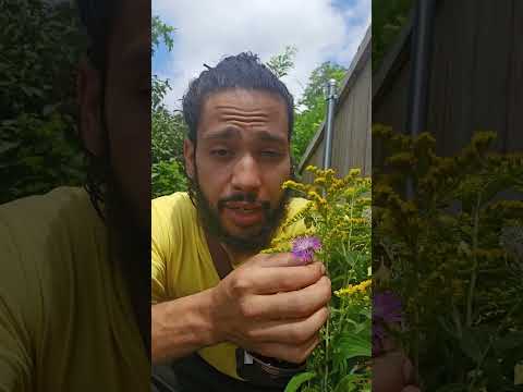 Purchase From Nature