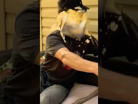 A guitar riff so good you can taste it #guitarist #music #shorts #rockband #funny #riffs #guitarriff