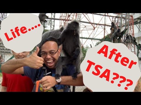 Career prospects after TSA