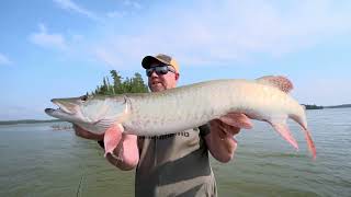 Tips on Using Fishing Electronics