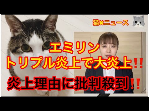 エミリン連続炎上で大炎上❗️炎上理由がガチでヤバすぎる　エミリンは悪くない(エミリンチャンネル　T君　不倫　コレコレ　悪口　逃走中　アンチ　誹謗中傷　炎上　トレンド　バズり　猫✖︎ニュース)#306