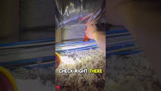 1 year warranty inspection #homeinspector #realestate #hvac #plumbing #construction