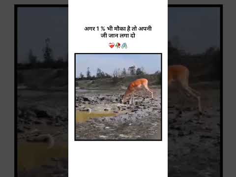 thank you ❣️ please support kariye 🙏💔 @writing__world__motivation1947 #love #ytshorts #emotional