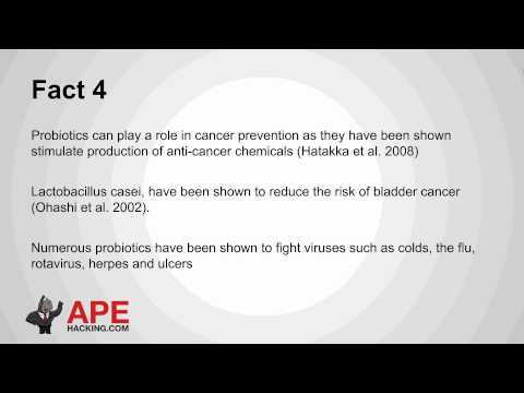 5 Epic Facts: Probiotics