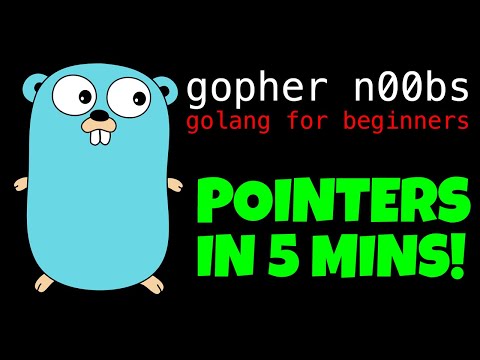 GOLANG POINTERS IN 5 MINUTES!!!!!! LEARN POINTERS IN GO FOR BEGINNERS!!!!!!