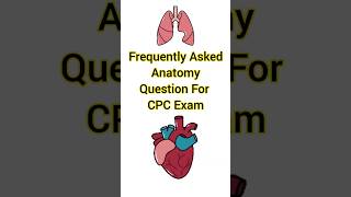 Frequently Asked Anatomy Question For CPC Exam | Medical Coding | Human Anatomy And Physiology #cpc
