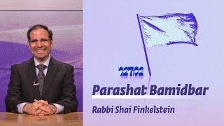 Parashat Bamidbar | The Symbolism of the Flags  | Rabbi Shai Finkelstein