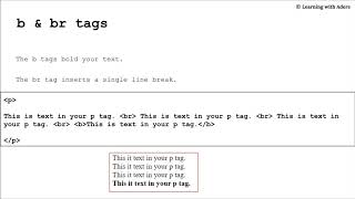 Learning With Me (LWM)  |  HTML Elements