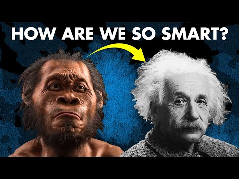 The Human Intelligence - Every Theory Explained