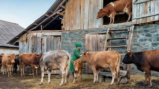 Cows, Fresh Milk and Family Life in a Mountain Village