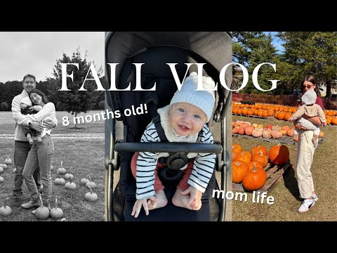 Home Vlog: fall photos, new furniture, baby-friendly dinners