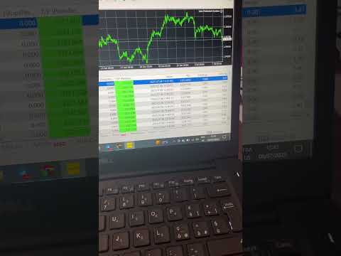 2 AI Bots That Trade & Protect Your Money – Zero Loss #ForexBots #AITrading  #ForexScalping