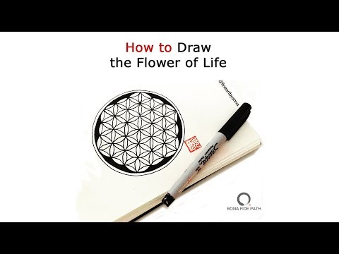How to Draw the Flower of Life (7 Steps)