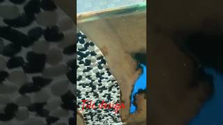 How to Tile Like a Pro (DIY Tile Tips) #Yt Shorts#ShortsFeed